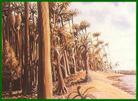 A view along an open levee with a few seed-ferns.  The swamp to the left is dominated by club-mosses although calamites fringe the open water in the foreground.