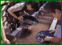 Panning for gold