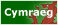 View this page in Welsh