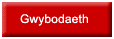 Gwybodaeth