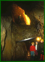 Visitors in the Deep Chamber