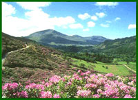 View of Snowdonia